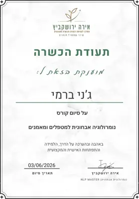 תעודה: נומרולוגיה אבחונית למטפלים ומאמנים, 2026